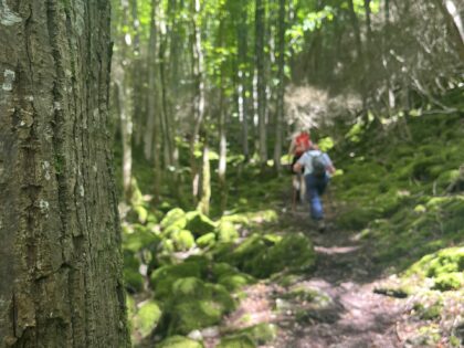 11-12-13 juillet 2025 🥾 Séjour 🏡 Viroinval, entre deux mondes - FORMULE GÎTE (ACOMPTE)