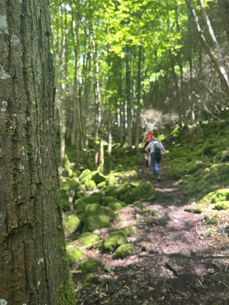 11-12-13 juillet 2025 🥾 Séjour 🏕️ Viroinval, entre deux mondes - FORMULE CAMPING (ACOMPTE)