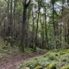 11-12-13 juillet 2025 🥾 Séjour 🏕️ Viroinval, entre deux mondes - FORMULE CAMPING (ACOMPTE) – Image 6