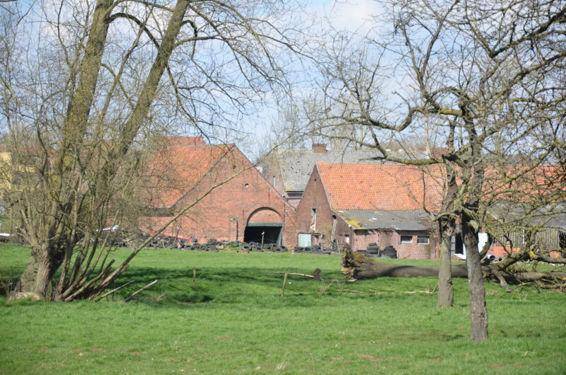25 Mai 2025 🥾 Randonnée Brusseleir 🎒 Boucle au Vogelzangbeek & Vlezenbeek – Image 3