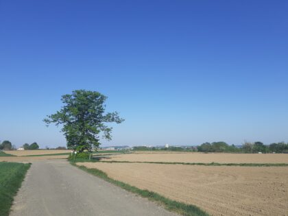 25 Mai 2025 🥾 Randonnée Brusseleir 🎒 Boucle au Vogelzangbeek & Vlezenbeek