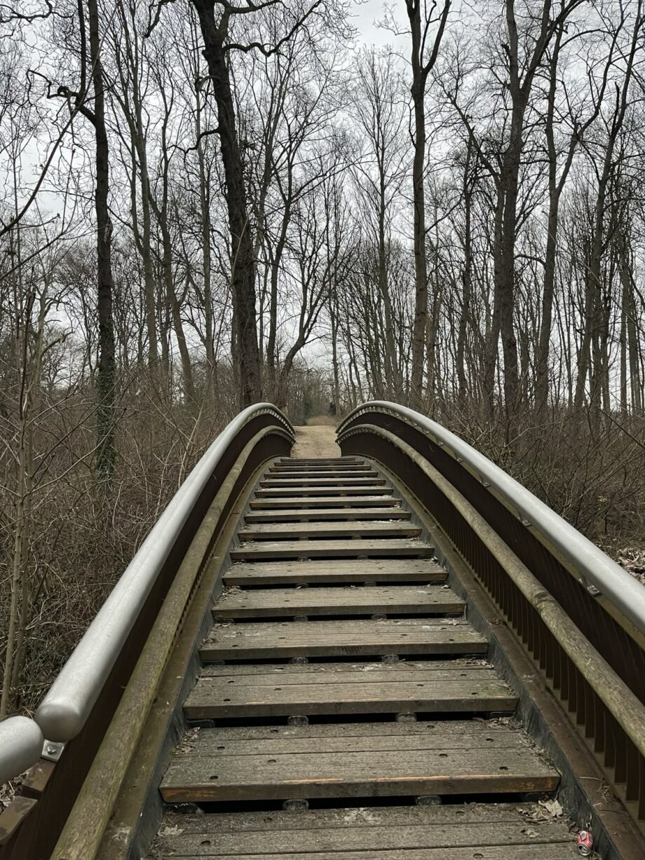8 novembre 2025 🥾 Randonnée Nacht 🌝 Du canal aux parcs, un pont entre deux régions