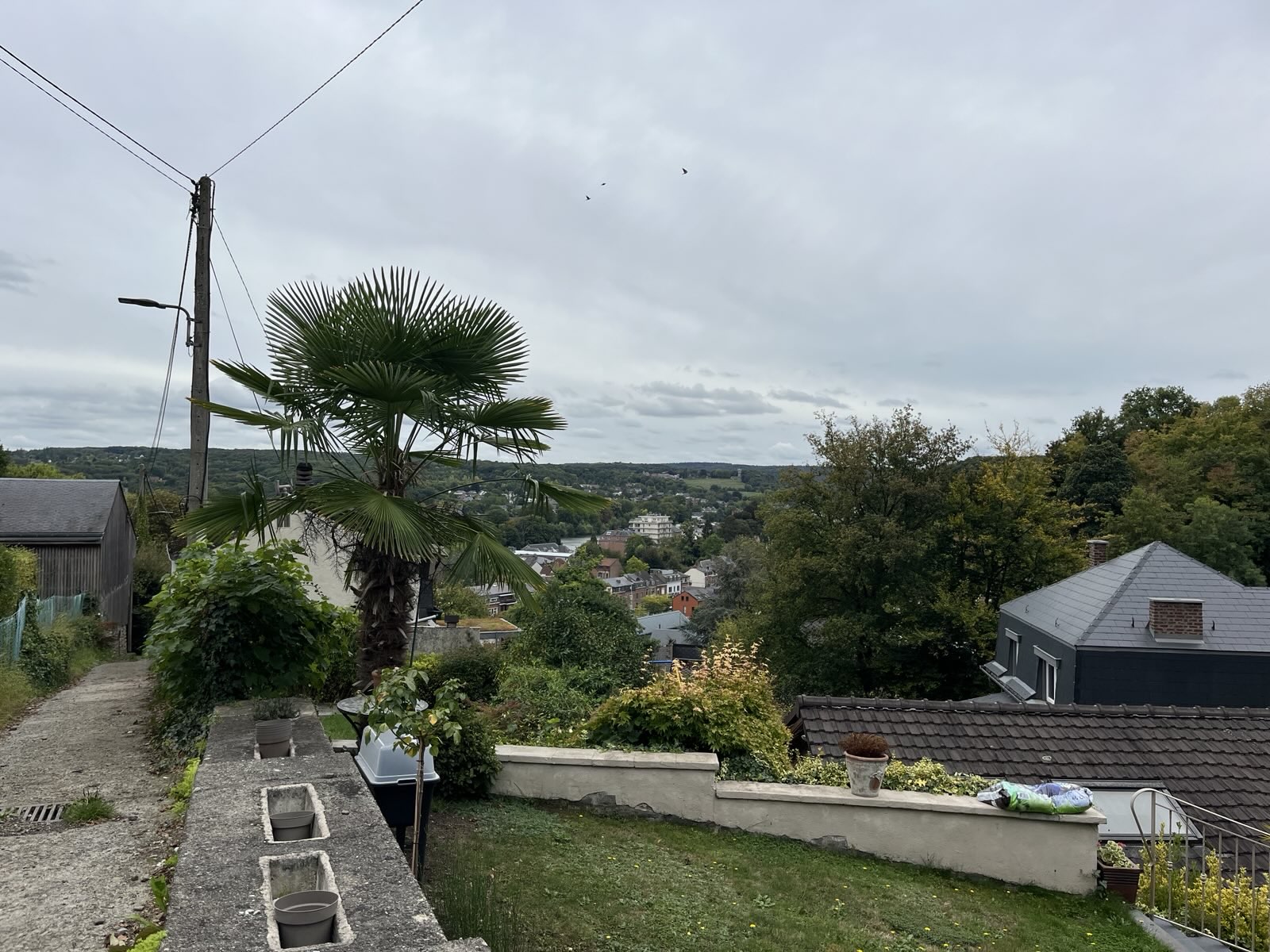 28 décembre 2025 🥾 Randonnée Boeïte 🇧🇪 Namur, le plateau et la confluence 🎄 – Image 3