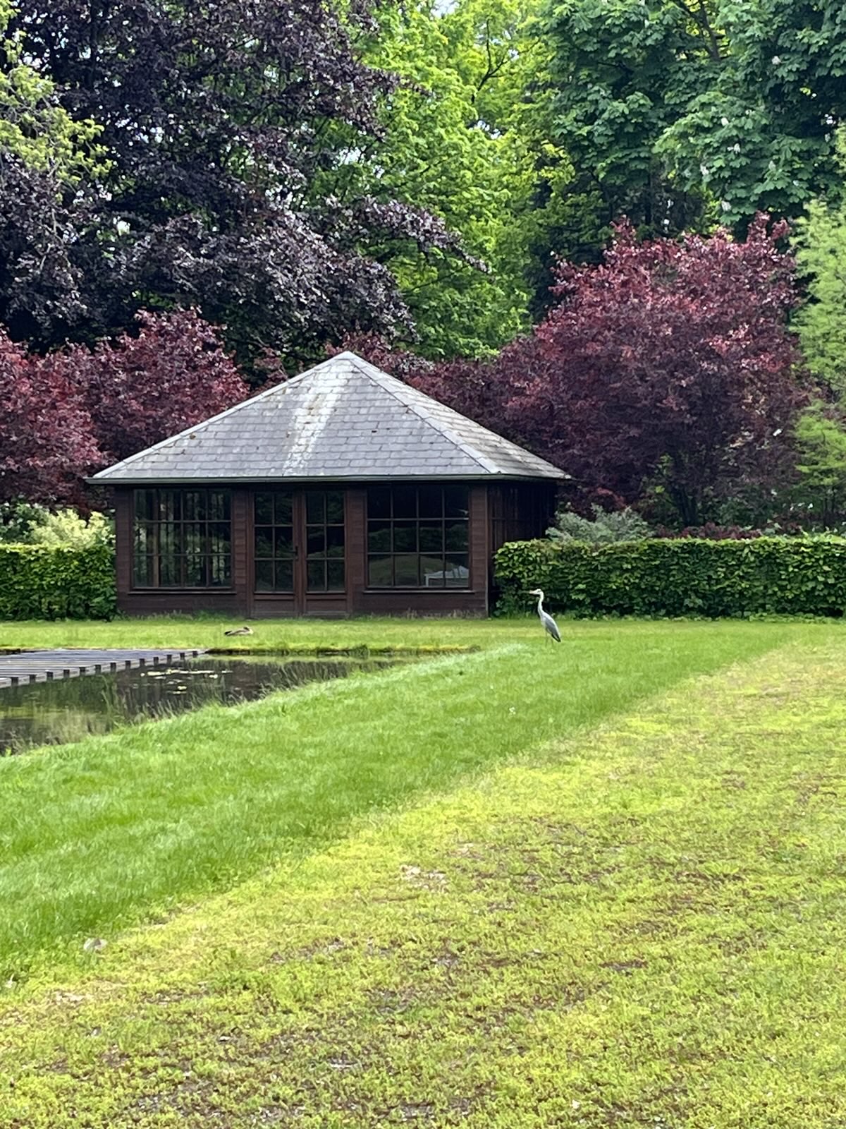 25 janvier 2026 🥾 Randonnée Brusseleir 🎒Evere en vert et contre tout – Image 3