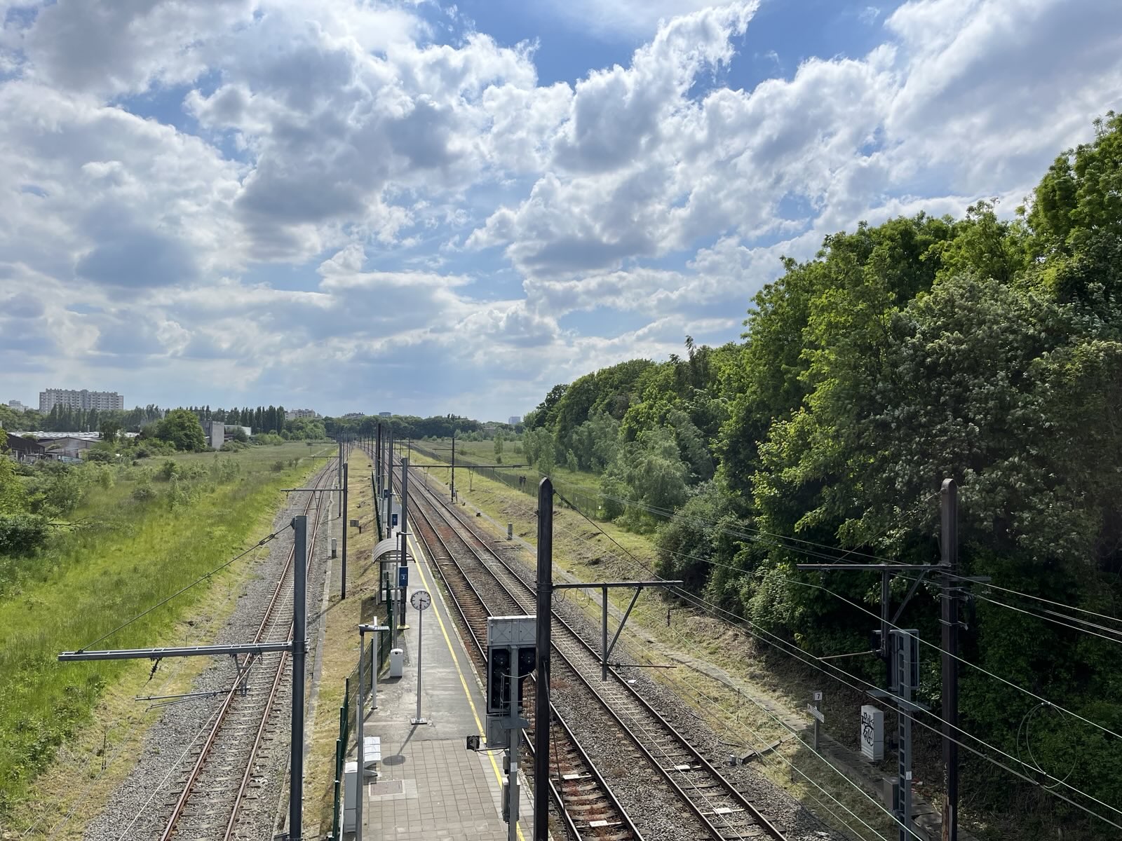 25 janvier 2026 🥾 Randonnée Brusseleir 🎒Evere en vert et contre tout – Image 2