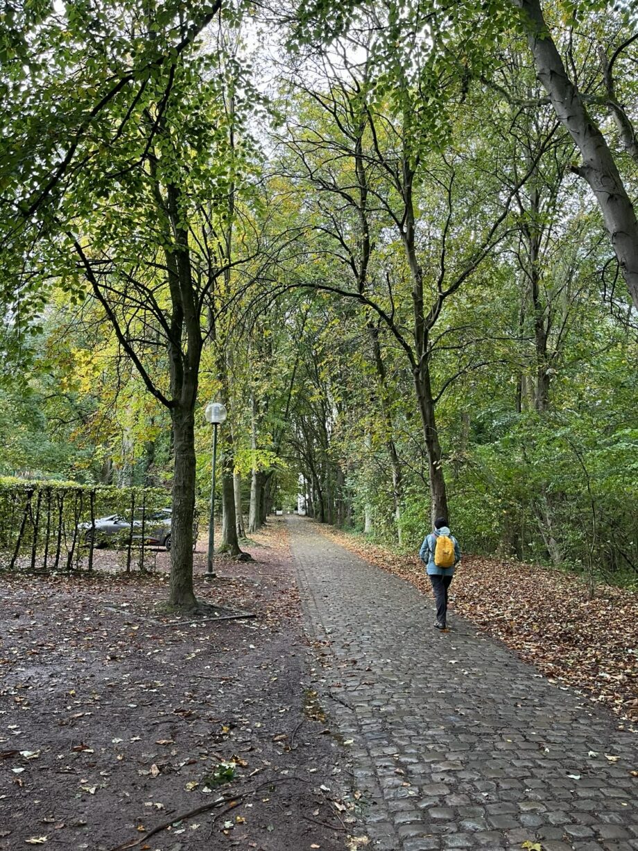 31 janvier 2026 🥾 Randonnée Nacht 🌝 Le métro... en plein air !