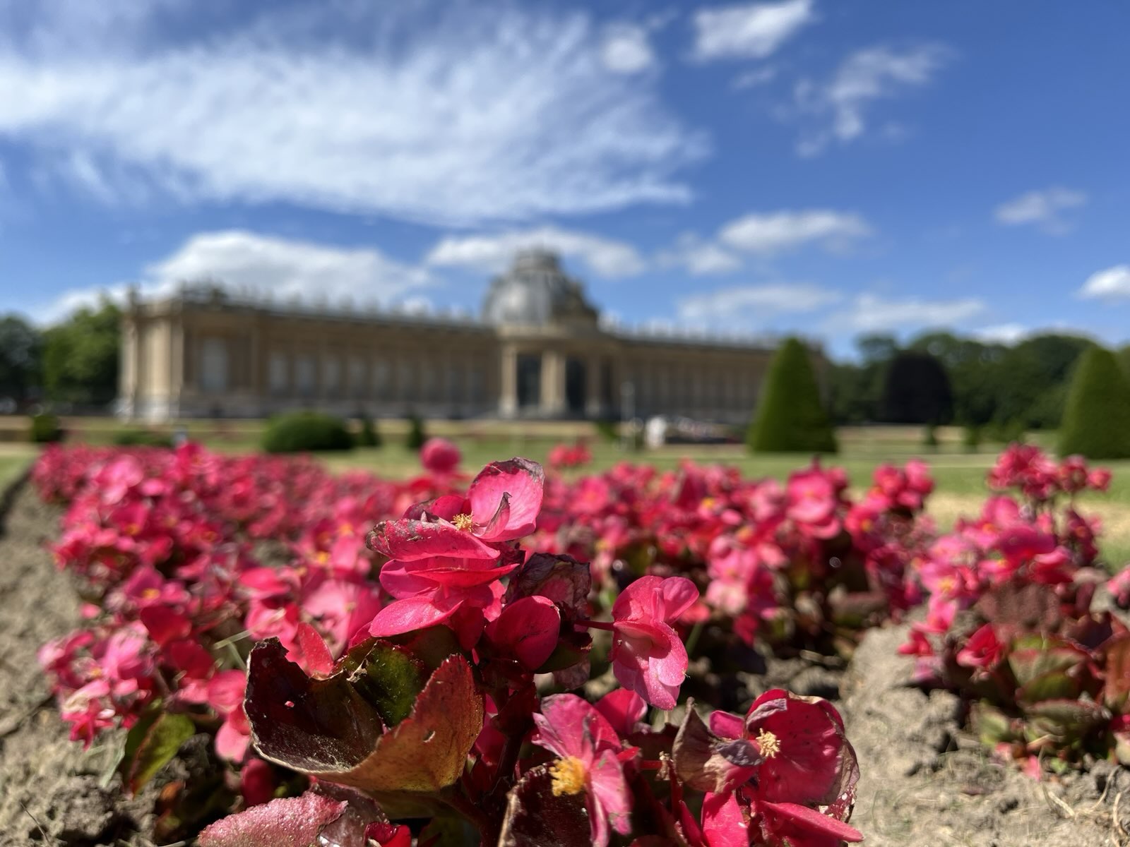 22 février 2026 🥾 Randonnée Brusseleir 🎒 A l'est du Ring, en route vers Tervueren