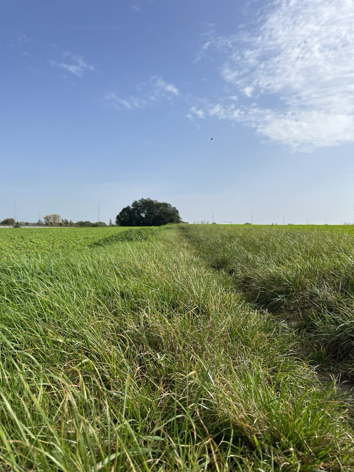 22 février 2026 🥾 Randonnée Brusseleir 🎒 A l'est du Ring, en route vers Tervueren – Image 2