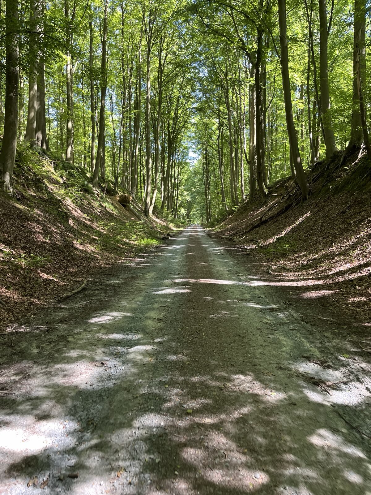 22 février 2026 🥾 Randonnée Brusseleir 🎒 A l'est du Ring, en route vers Tervueren – Image 3