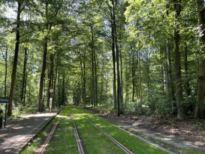 27 février 2026 🥾 Randonnée Nacht 🌝 Tram-Saint-Lambert
