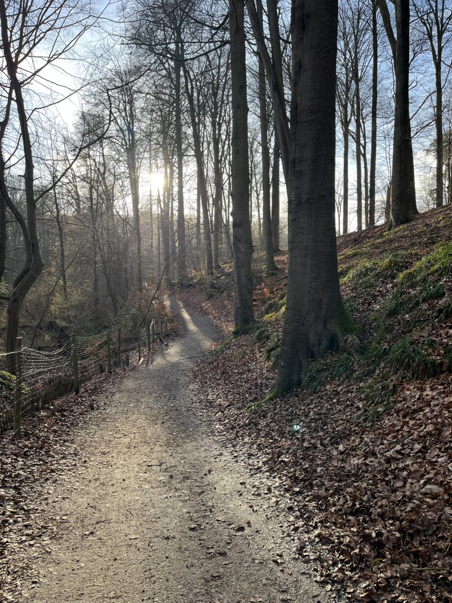 4 avril 2026 🥾 Randonnée Nacht 🌝 La Vertu verte de Tervuren