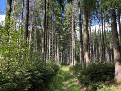 10-11-12 juillet 2026 🥾 Séjour 🏕️ Viroinval - FORMULE CAMPING (ACOMPTE)