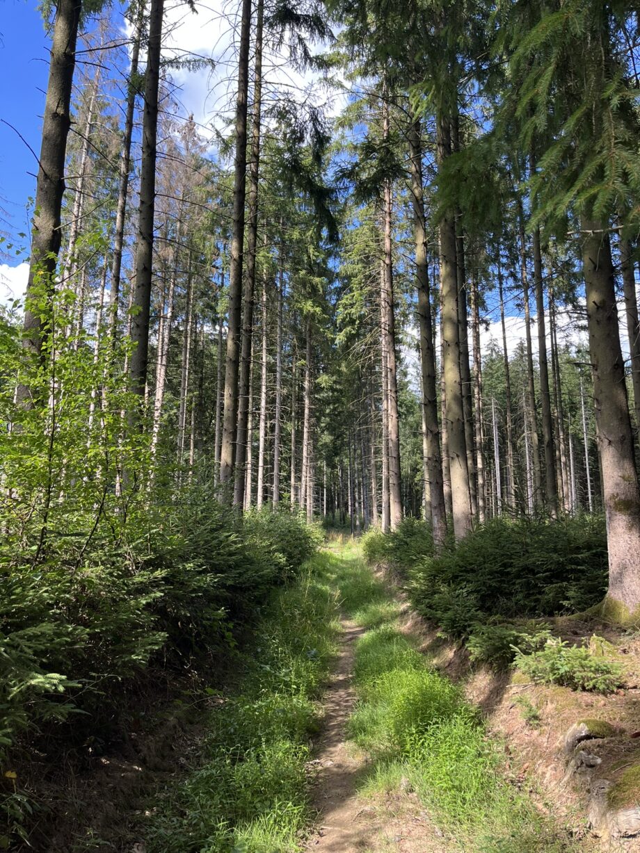 10-11-12 juillet 2026 🥾 Séjour 🏡 Viroinval - FORMULE GITE (ACOMPTE)