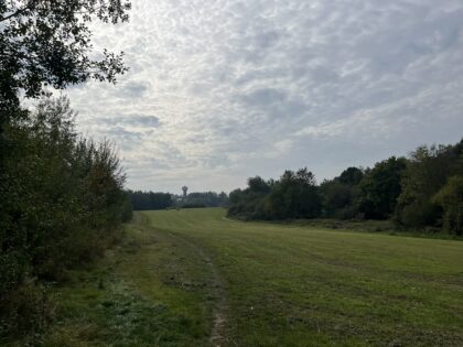 29 novembre 2026 🥾 Randonnée Capitale 🎒 Hoeilaart : des hauts, des bas et des bois !