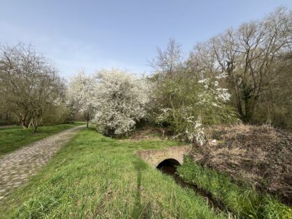 28 mars 2027 🥾 Randonnée Capitale 🎒 Le printemps, lentement mais sûrement !