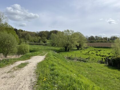 25 avril 2027 🥾 Randonnée Découverte 🧭 Au Pays des Collines, le Printemps prends racine