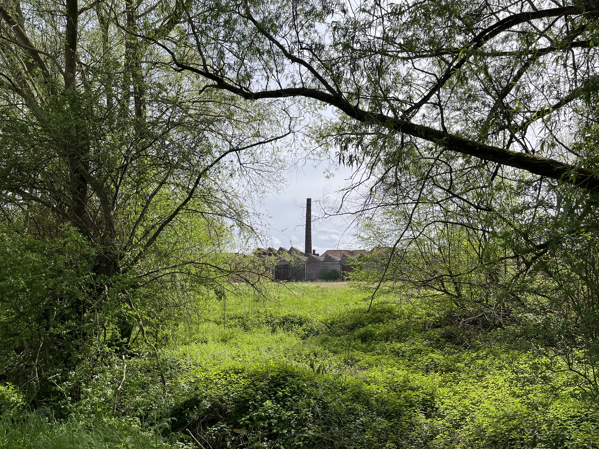 25 avril 2027 🥾 Randonnée Découverte 🧭 Au Pays des Collines, le Printemps prends racine – Image 3